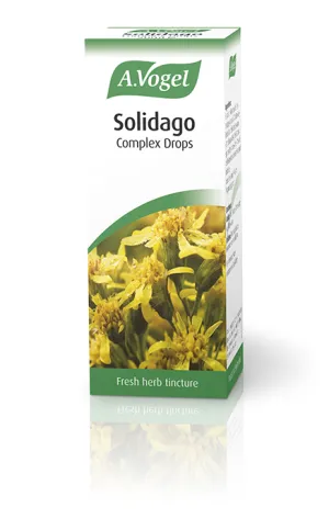 A. Vogel Solidago Complex 50ml