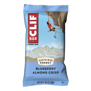Blueberry Crisp Bar
