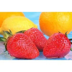 Lemon Berry E-Liquid