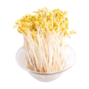 Local Organic Soya Bean Sprout  (400g)